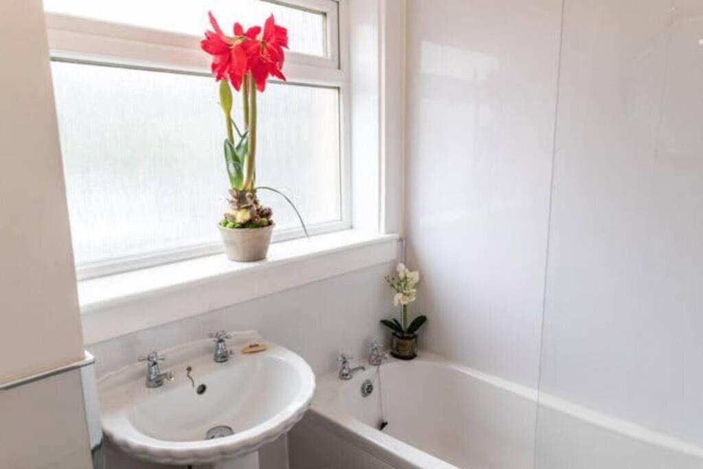 Cosy 1 Bed With Parking In City Centre Daire Glasgow Dış mekan fotoğraf